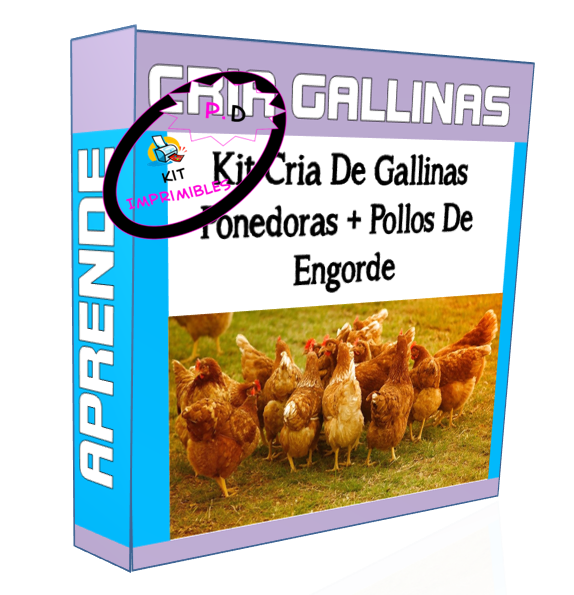 Kit Aprende Cria De Gallinas Ponedoras + Pollos De Engorde