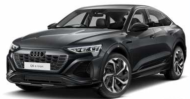 Manual De Taller Audi Q8 SQ8 E-TRON SPORTBACK GET (2023-2024) Ingles